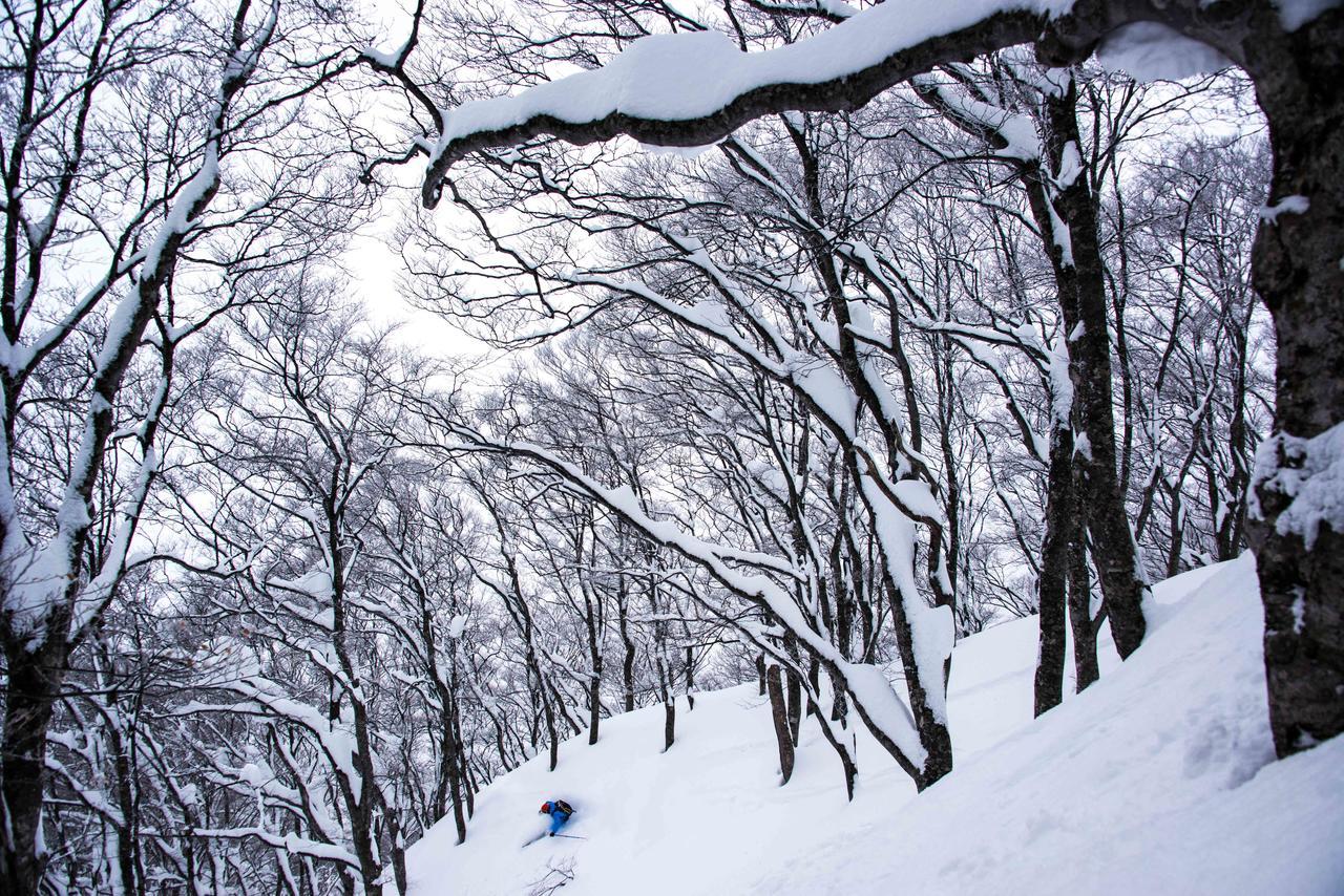 Morino Lodge - Myoko Bagian luar foto